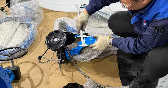 Inspección previa al embarque en curso para un proyecto llave en mano de 2,5 tph en el norte de África