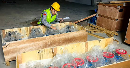 8 TPH Sulphonation and Sulphation Project in West Asia – Full Steam Ahead!